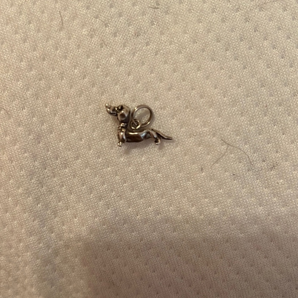 Sterling Silver Charm